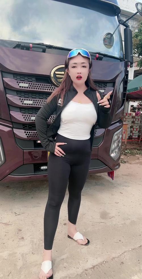 貨運(yùn)司機(jī)貨車貨車 司機(jī)